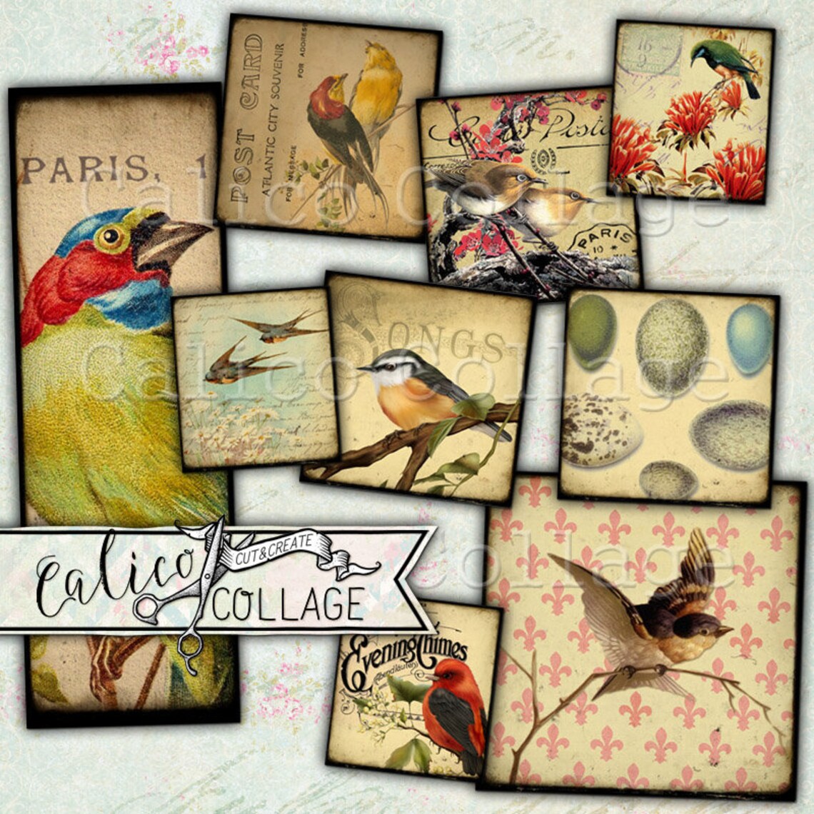 Printable Vintage Birds Ephemera Pack Junk Journal Bird Etsy