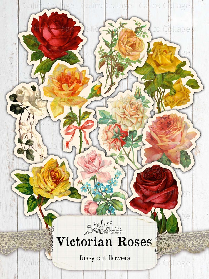 May include: A set of ten digital collage sheets featuring vintage illustrations of Victorian roses in various colours, including red, yellow, pink, and white. The images are perfect for crafting, scrapbooking, and other creative projects.