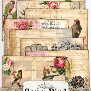 May include: A digital printable junk journal kit with a vintage aesthetic. The kit features images of birds, flowers, music sheets, and cages. The text "Song Bird" is featured in the center of the image.
