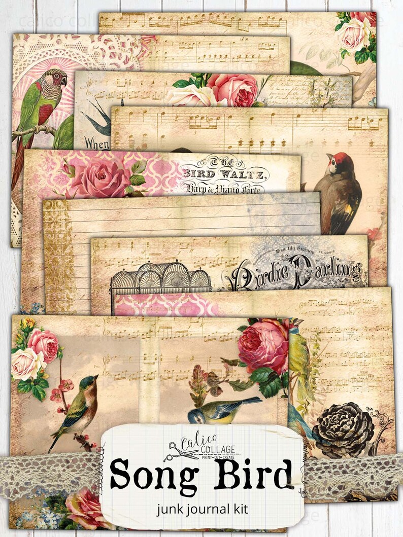 May include: A digital printable junk journal kit with a vintage aesthetic. The kit features images of birds, flowers, music sheets, and cages. The text "Song Bird" is featured in the center of the image.