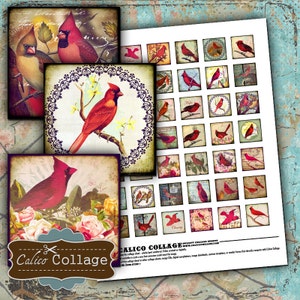 1x1 Inchies Collage Sheet - RED BIRD Collage Sheets - Cardinal Images - Vintage Bird Digital Sheet - Calico Collage - Instant Download