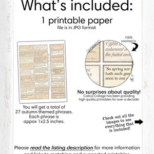 Puede incluir: Una hoja de papel imprimible con 27 frases de tem&aacute;tica oto&ntilde;al, cada una mide aproximadamente 1 por 2,5 pulgadas. Las frases est&aacute;n impresas en una fuente de estilo vintage sobre un fondo color crema. El texto incluye citas como "Salvaje es el viento oto&ntilde;al que sopla por los bosques descoloridos." y "Ni la primavera ni la belleza del verano tienen tanta gracia como la que he visto en un rostro oto&ntilde;al."
