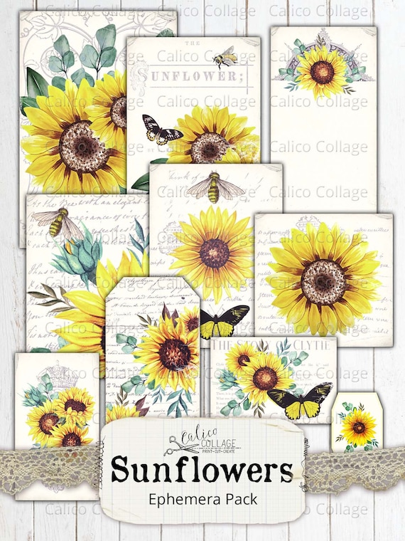 Cut & Create Sunny Mornings Ephemera Book: Designer Ephemera for Junk Journals, Bullet Journals & Other Paper Crafts