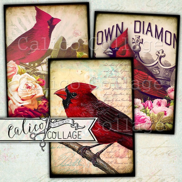 Printable Cardinal, Red Bird Journaling Cards, Junk Journal Ephemera Pack