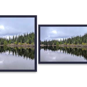 Forest Photo, Digital Download, Green Forest Photo, Nature Decor, Printable Forest Photo, Forest Lake Photo