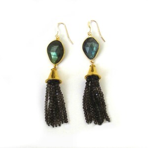 Moonscape Tassel Earrings