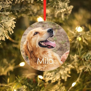 Personalized Pet Ornament, Custom Dog Christmas Ornament, Pet Memorial Ornament, Cat Christmas Photo Ornament, Pet Portrait Name