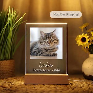 May include: A white illuminated acrylic memorial plaque with a photo of a tabby cat. The plaque has the text "Lulu Forever Loved 2024" on it.