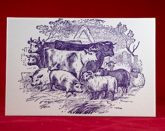 Barnyard Letterpress Postcard