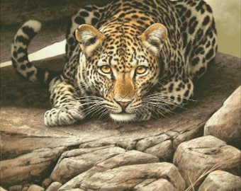LEOPARDO (300x347 pontos), gráfico de ponto cruz DMC, pdf/xsd