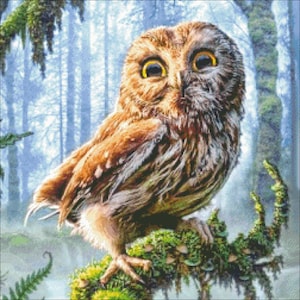 CUTE OWL (252x252 stitches), DMC cross stitch pattern, pdf/xsd