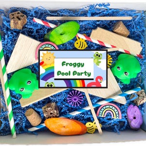 Froggy Pool Party| Summer Foraging Rainbow Box Small Medium Parrots Made In USA