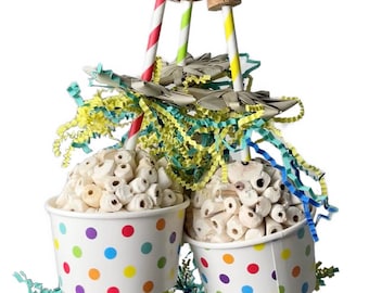 Happy Hatchday Toooo Youuuu! | Sola Toy for Small Birds Cockatiels Conures Caiques Made in USA