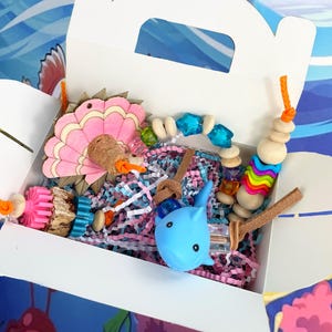 Fintastic Reef Gang Foot Toy Box| For Small Medium Parrots Made In USA
