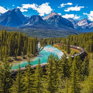 May include: A long train of black tanker cars winds through a lush green forest along a turquoise river. The train is traveling through a valley with snow-capped mountains in the background.