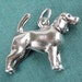 see more listings in the Dogs and Pets section