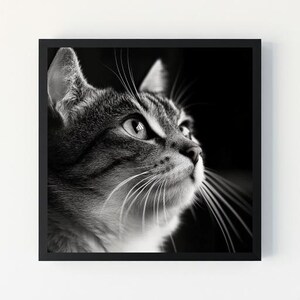 Majestic Feline Gaze - Striking Black & White Cat Portrait Digital Wall Art, Elegant Animal Photography for Home Decor, Instant Download