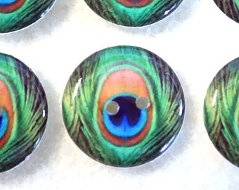 Set of 6 Handmade Peacock Sewing Buttons.  3/4" or 20 mm Round.