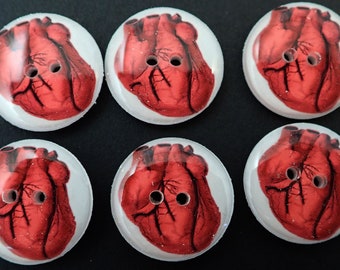 Red Human Heart Buttons. Sewing Buttons. 3/4" or 20 mm.  Human Heart Sewing Buttons.  CHOOSE YOUR QUANTITY.