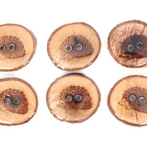 HANDMADE BRANCH Buttons. Set of 6 Handmade Hedgehog Wooden Buttons. Made from Real Tree Branch with Bark Attached. 1 or 25 mm Round. image 2