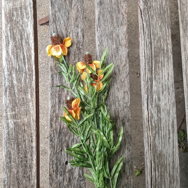 Silk Mexican Hat Stem