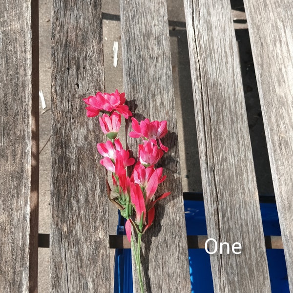 Single Silk Indian Paintbrush Stem