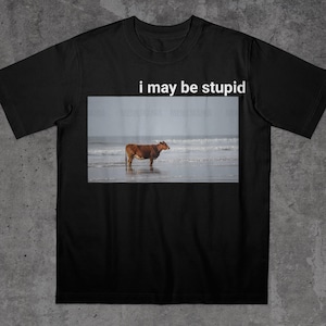 May include: Black t-shirt featuring the text "i may be stupid" above a picture of a brown cow in the sea. The cow is facing right, with waves visible behind it.