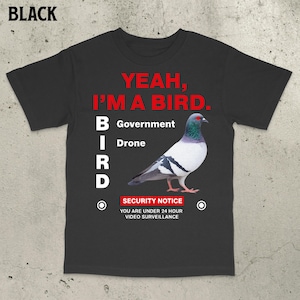 Government Funny Pigeon Puns 90s Graphic Shirt, Vintage Pigeon, Pigeon Lovers, Funny Pigeon Shirt, Funny Saying Shirt, Ironic Quote Shirt
