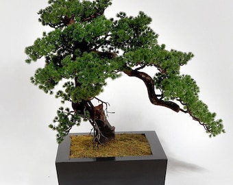 Künstlicher Bonsai-Baum im japanischen Stil, Zen-Wohnkultur, Schreibtischtischpflanze