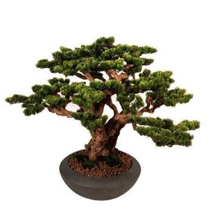 Artificial Bonsai Tree in Pot, Realistic Indoor Bonsai Decor, Japanese Style Zen Plant, Faux Pine Tree, Office Home Decor Gift