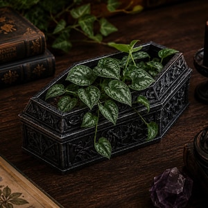 May include: A dark grey, coffin-shaped planter filled with green leafy plants. The planter has ornate carvings and sits on a wooden surface, next to a lit black candle and antique books. A small purple crystal is also visible.