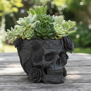 May include: A black skull-shaped planter filled with green succulents. The planter is decorated with rose designs and vines. The succulents are a mix of green and light green. The planter is on a wooden surface.