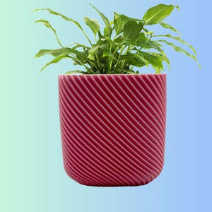 Spiral Ribbed Round Cube - Sakura Pink