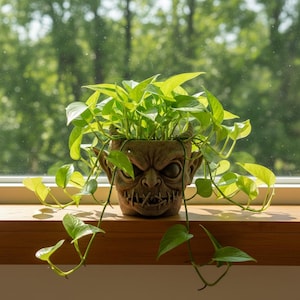Puede incluir: Una maceta marrón con forma de cara de diablo, llena de plantas de potos de color verde brillante. La maceta tiene cuernos y una expresión amenazante. Las enredaderas de la planta caen por los lados, contrastando con el alféizar de la ventana de madera.