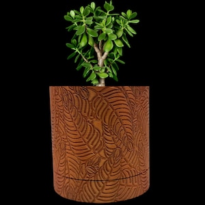 May include: A brown ceramic planter with a leaf pattern design. A small green succulent plant is growing in the planter.