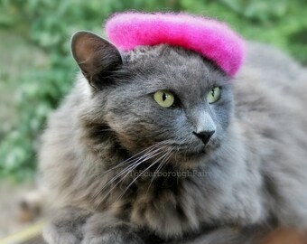 Cat French Beret Wool Beret for Cats and Dogs Hand Felted | Etsy