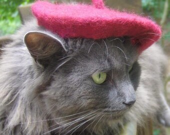 Cat French Beret Wool Beret for Cats and Dogs Hand Felted | Etsy