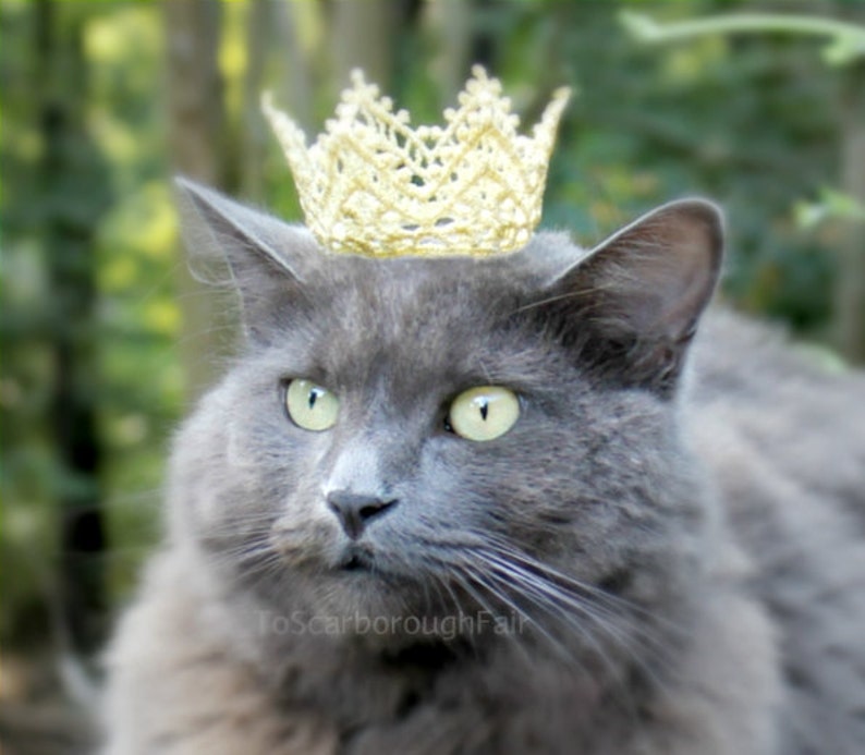 Cat Crown-Pet Crown-Original design-Princess Crown for Cat-Game of Thrones Inspired-Dog Crown The White Queen-Cat Puppy Crown-Cat King Crown image 3