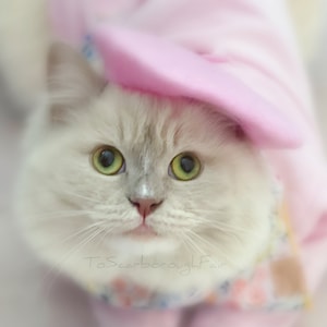 オリジナル版『ブライズメイズ 史上最悪のウェディングプラン』ベレー帽 - 猫や犬用のフレンチベレー帽 - ハンドフェルトウールのフレンチベレー帽 - 猫好きへのギフト 誕生日プレゼント - プチベレー帽