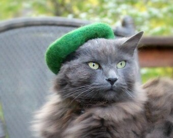 Cat Green Beret - Scottish Beret for cats - Pet Costume  - Girl Scouts of America  - Green Beret - St Patrick's Day