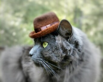 Fedora Cat Hat - Father's Day Hat - Indiana Jones Pet Hat - Hand Felted Wool Hat - Hipster Hat for Pets -  Watchman - Gentleman Hat