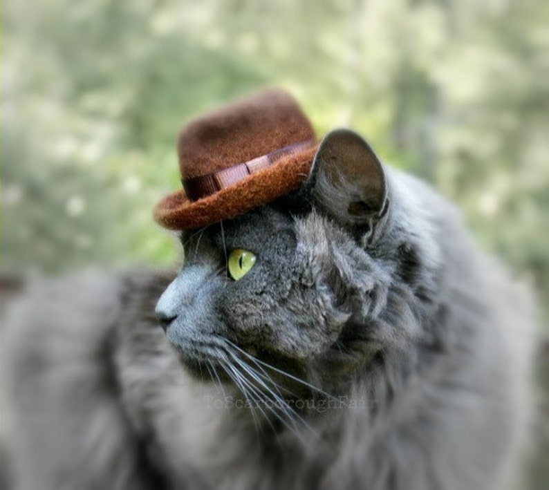 Fedora Cat Hat Father's Day Hat Indiana Jones Pet Hat Hand Felted Wool Hat Hipster Hat for Pets Watchman Gentleman Hat image 1