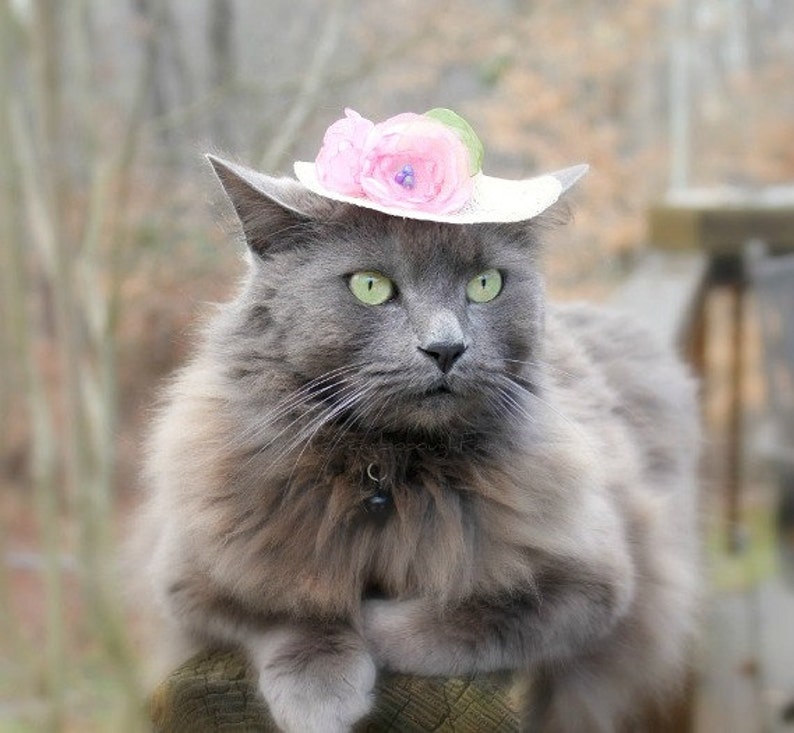 Cat Hat Elegant Mini Hat Spring Cat Hat Spring Bonnet Cat Bonnet Kentucky Derby image 4