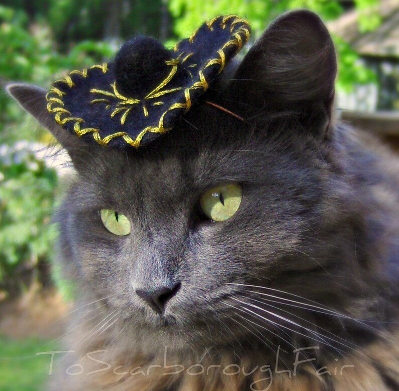 Pet Sombrero image 1