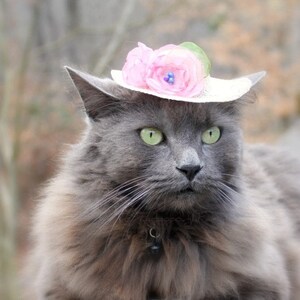 Cat Hat Elegant Mini Hat Spring Cat Hat Spring Bonnet Cat Bonnet Kentucky Derby image 3