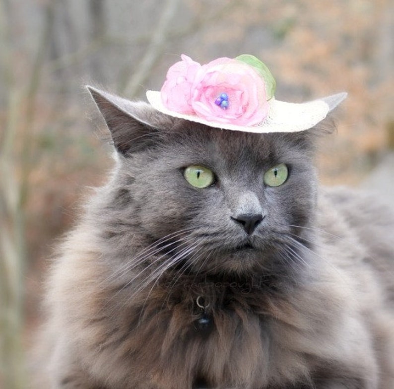 Cat Hat Elegant Mini Hat Spring Cat Hat Spring Bonnet Cat Bonnet Kentucky Derby image 3