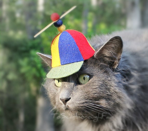 Original Design-cat Hat-propeller Hat-pet Costume SF Fandom Comics Beany  Boy Propellerhead Cat Halloween Costume Cat Dog Photo Prop 
