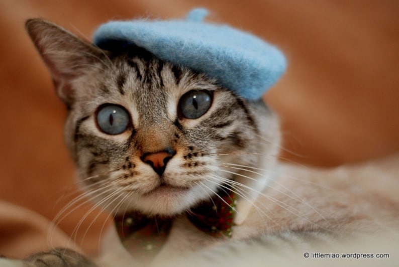 Cat Beret - Bridesmaids Movie Original Beret- Pet Wool Beret Cats and Dogs-Hand Felted Beret for Pets-Birthday Gift - Holiday Gift 