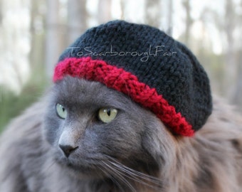 Breaking Bad Inspired Hat - Knit Cat Beanie - Jesse Pinkman Cat Hat - Warm Pet Hat - Winter Cat Hat