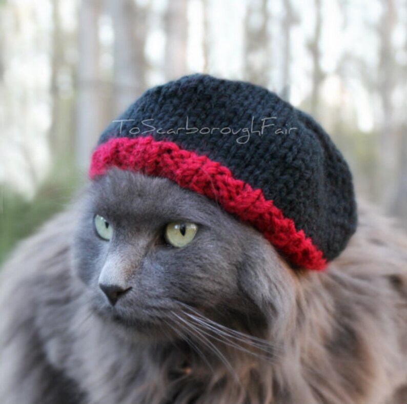 Beanie for Cats Breaking Bad Inspired Knit Beanie Jesse Etsy
